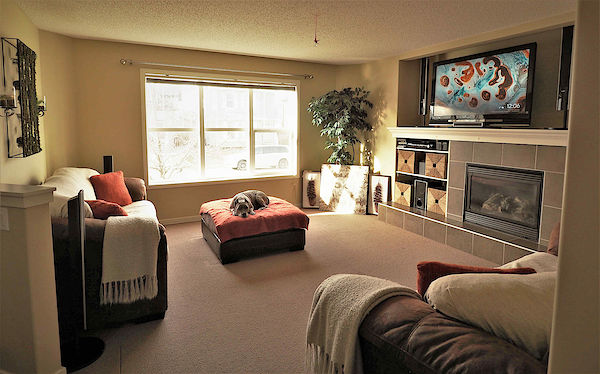 Calgary 1 bedroom Room For Rent for rent. Property photo: 103446-3