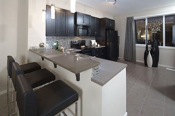 Calgary 2 bedrooms Townhouse for rent. Property photo: 105250-2
