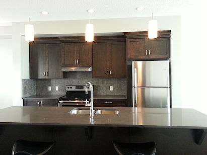 Calgary 3 bedrooms Townhouse for rent. Property photo: 113391-3