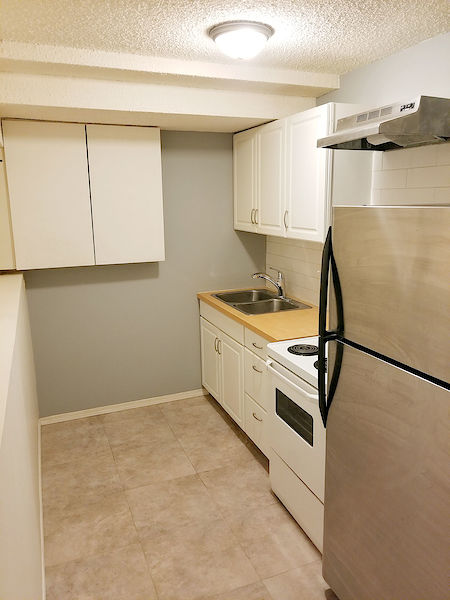 Calgary 2 bedrooms Basement for rent. Property photo: 123515-2
