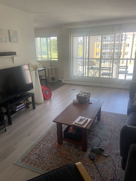 Calgary 2 bedrooms Apartment for rent. Property photo: 17636-3