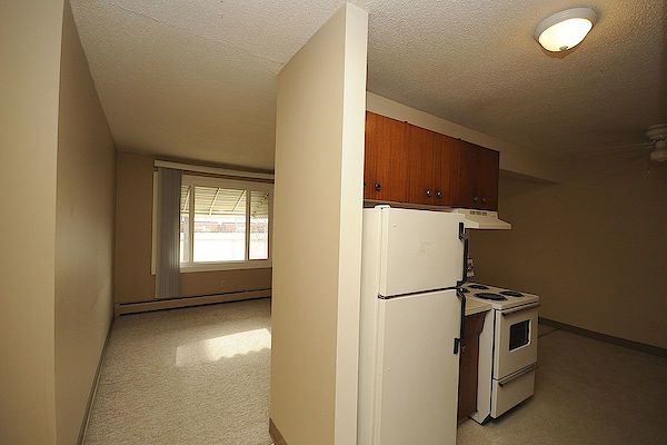 Edmonton 2 bedrooms Apartment for rent. Property photo: 250033-3