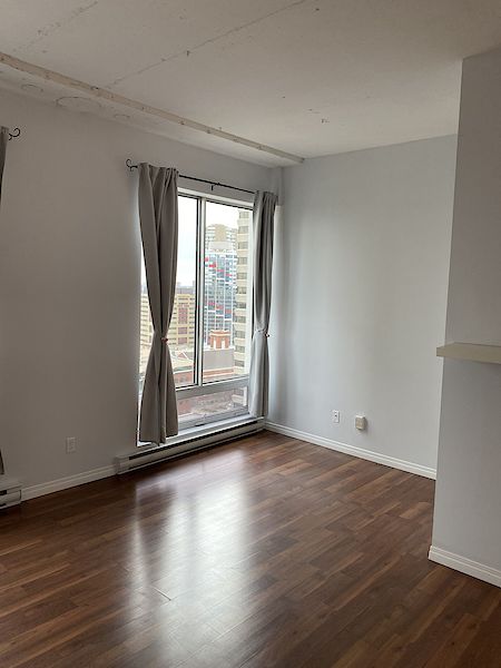 Edmonton 1 bedroom Loft for rent. Property photo: 251808-2