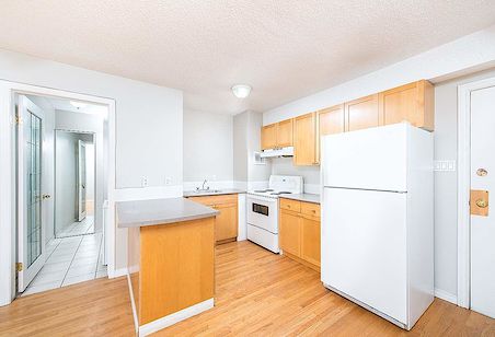 Edmonton 1 bedroom Apartment for rent. Property photo: 252253-2