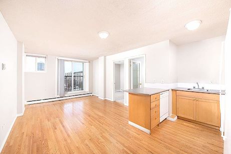 Edmonton 1 bedroom Apartment for rent. Property photo: 252253-2