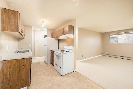 Edmonton 1 bedroom Apartment for rent. Property photo: 252255-3