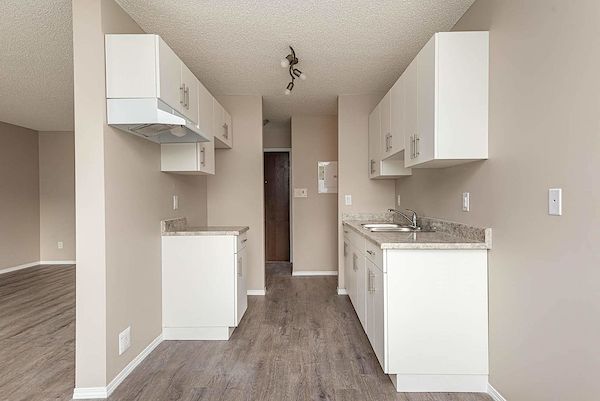 Edmonton 1 bedrooms Apartment for rent. Property photo: 255024-3