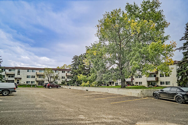 Edmonton 1 bedrooms Apartment for rent. Property photo: 255025-3