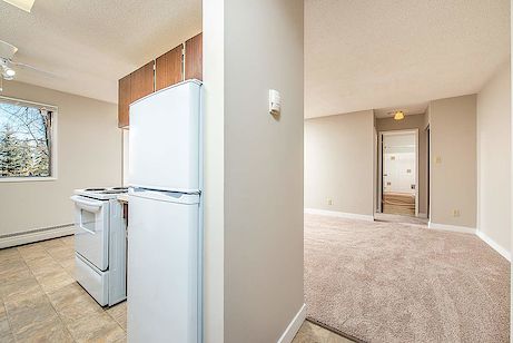 Edmonton 1 bedroom Apartment for rent. Property photo: 255055-3