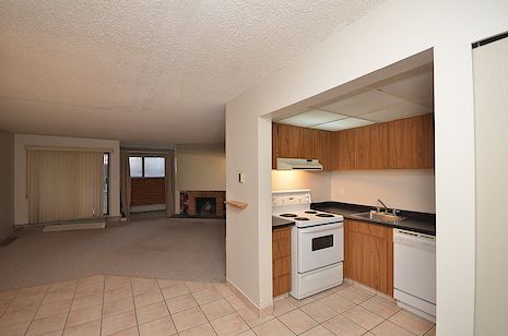 Edmonton studio Condo for rent. Property photo: 258706-3