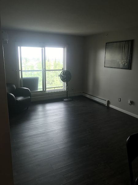 Edmonton 2 bedrooms Condo for rent. Property photo: 258954-2