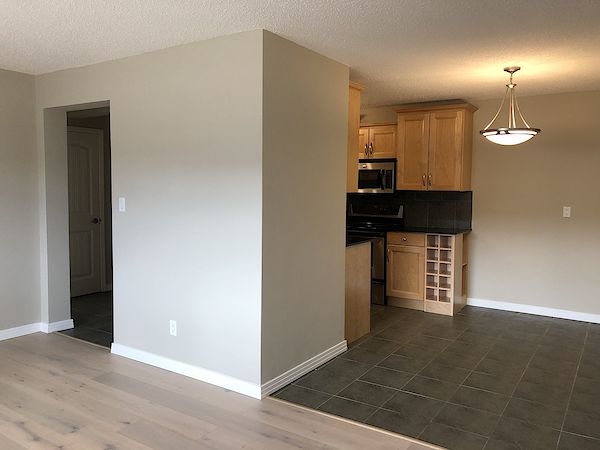 Edmonton 1 bedroom Condo for rent. Property photo: 261065-2