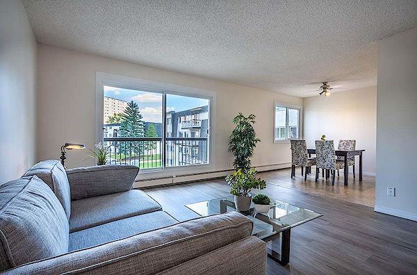 Edmonton bachelor bedrooms Apartment for rent. Property photo: 262888-2