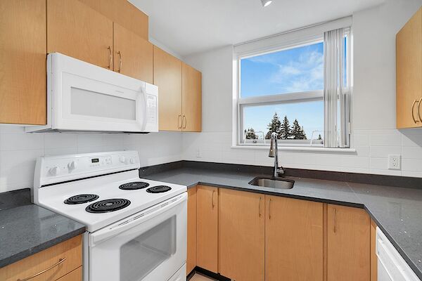Burnaby bachelor bedrooms Apartment for rent. Property photo: 262965-3