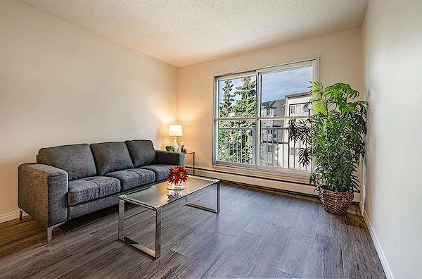 Edmonton 1 bedrooms Apartment for rent. Property photo: 262970-2