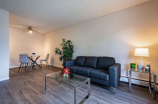 Edmonton 1 bedrooms Apartment for rent. Property photo: 262970-3