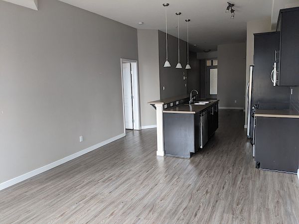 Edmonton 2 bedrooms Condo for rent. Property photo: 263855-3