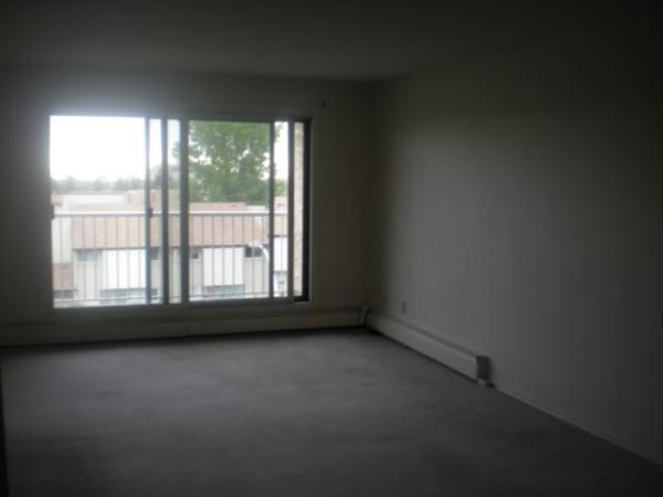 Edmonton 2 bedrooms Apartment for rent. Property photo: 267592-1