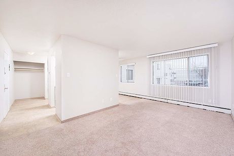 Edmonton 1 bedroom Apartment for rent. Property photo: 272553-3