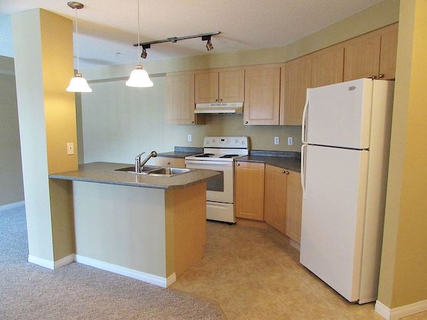 Edmonton 2 bedrooms Condo for rent. Property photo: 276429-3