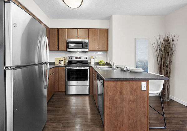 Edmonton 1 bedroom Apartment for rent. Property photo: 277059-3