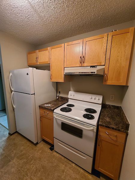 Edmonton 1 bedroom Condo for rent. Property photo: 278216-2