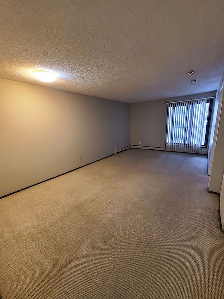 Edmonton 1 bedroom Condo for rent. Property photo: 278216-3