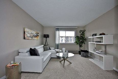 Edmonton 2 bedrooms Apartment for rent. Property photo: 282626-2
