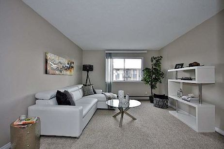 Edmonton 1 bedrooms Apartment for rent. Property photo: 282626-2