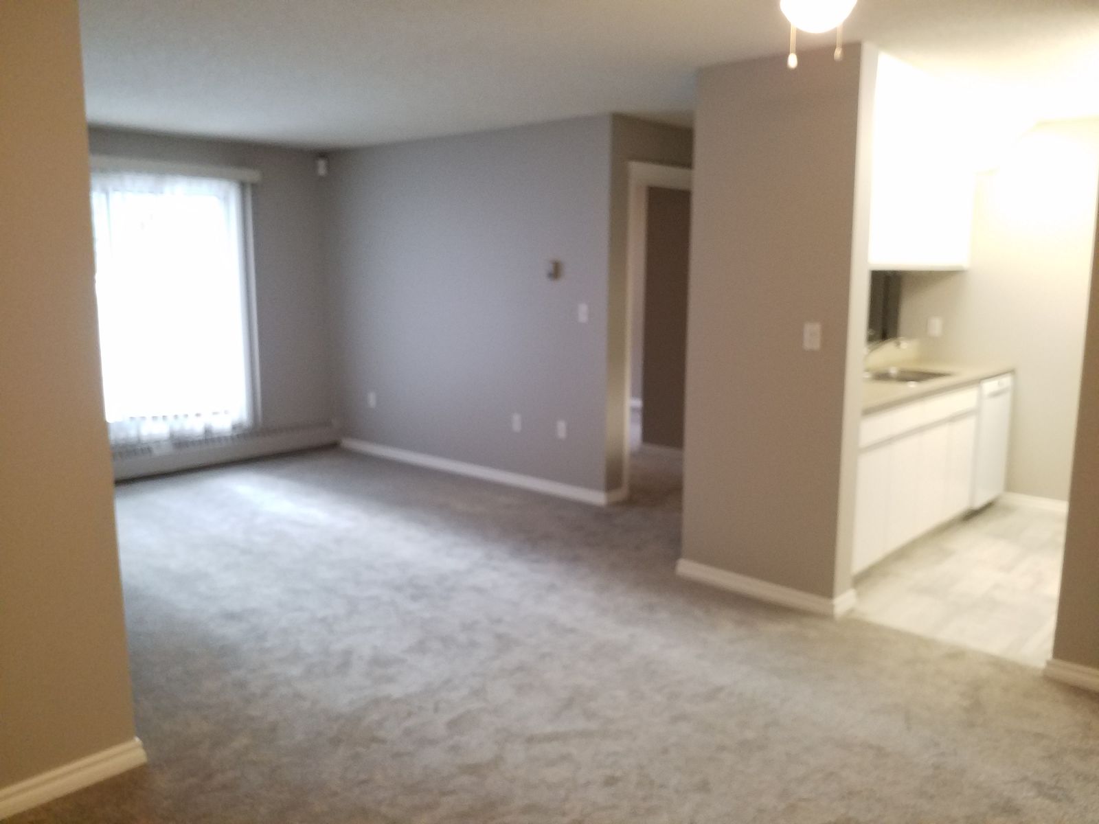 Edmonton 3 bedrooms Condo Unit for rent. Property photo: 284452-1
