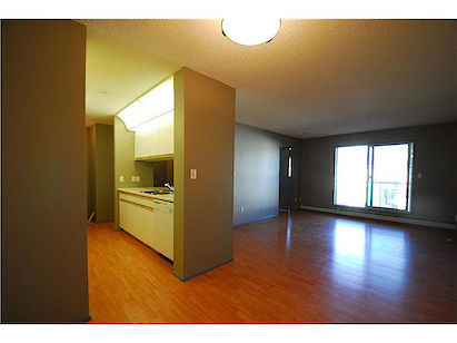 Edmonton 1 bedroom Condo for rent. Property photo: 287641-2