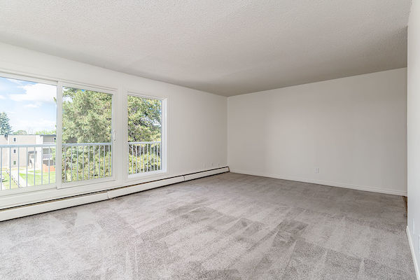 Edmonton 1 bedroom Apartment for rent. Property photo: 288645-2