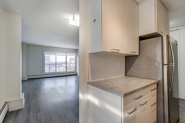 Edmonton 1 bedroom Apartment for rent. Property photo: 288648-3