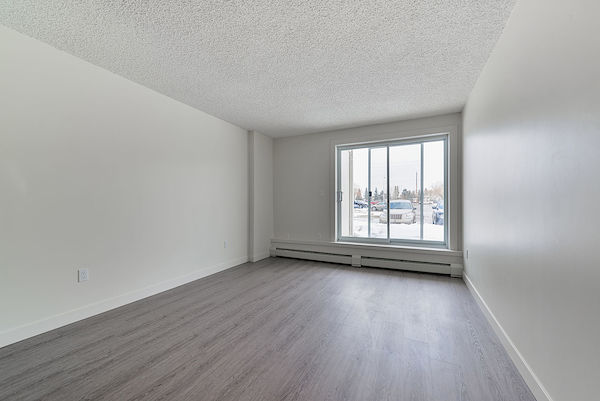 Edmonton 1 bedrooms Apartment for rent. Property photo: 288671-3