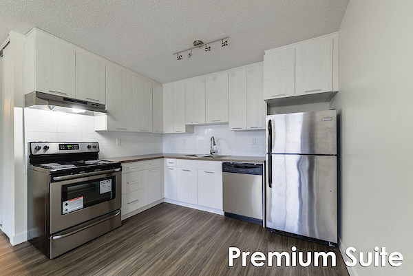 Edmonton 1 bedroom Apartment for rent. Property photo: 288674-2