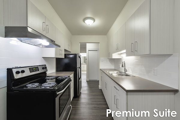 Edmonton 1 bedroom Apartment for rent. Property photo: 288680-3