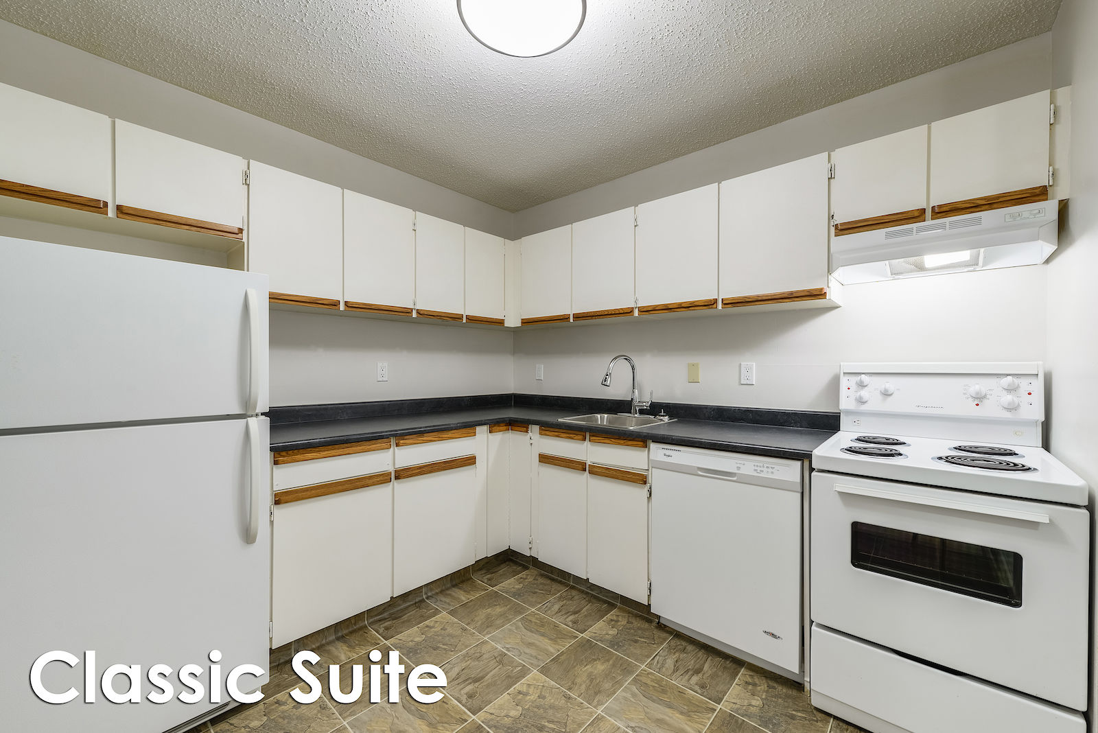 Edmonton 1 bedroom Apartment for rent. Property photo: 288688-1