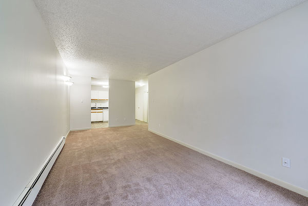 Edmonton 1 bedroom Apartment for rent. Property photo: 288688-2