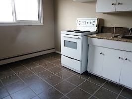 Edmonton 1 bedroom Apartment for rent. Property photo: 289393-3