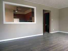 Edmonton 1 bedroom Apartment for rent. Property photo: 289393-2