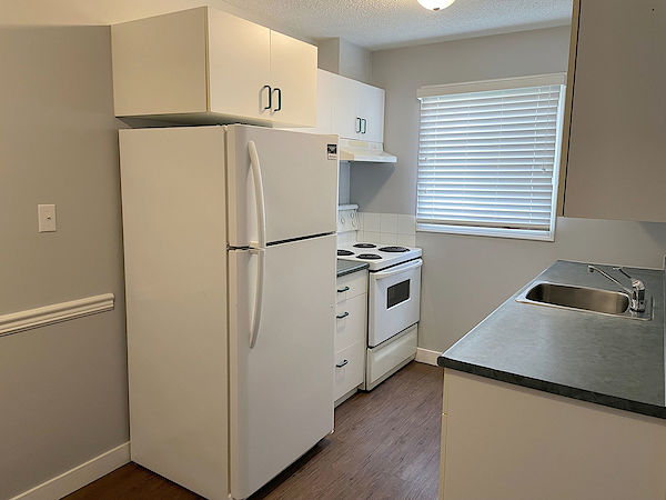 Fort McMurray 1 bedroom Apartment for rent. Property photo: 290065-3