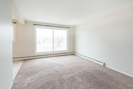Edmonton 1 bedroom Apartment for rent. Property photo: 290255-3