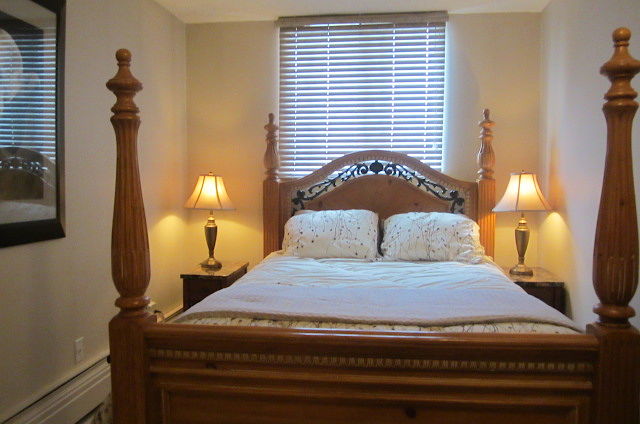Calgary 1 bedroom Condo for rent. Property photo: 293646-1