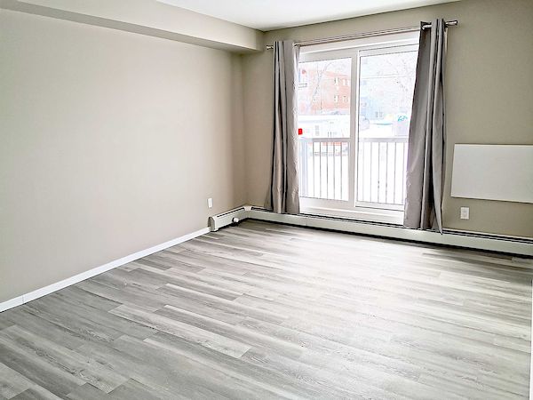 Saskatoon 1 bedrooms Apartment for rent. Property photo: 294105-3