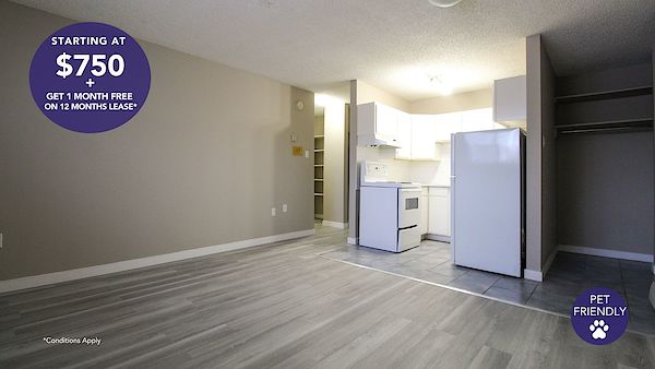 Saskatoon bachelor bedrooms Apartment for rent. Property photo: 294110-2