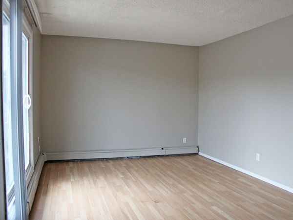 Saskatoon 1 bedrooms Apartment for rent. Property photo: 294121-3