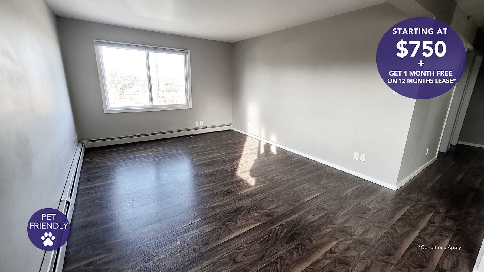 Saskatoon 1 bedroom Apartment for rent. Property photo: 294123-1