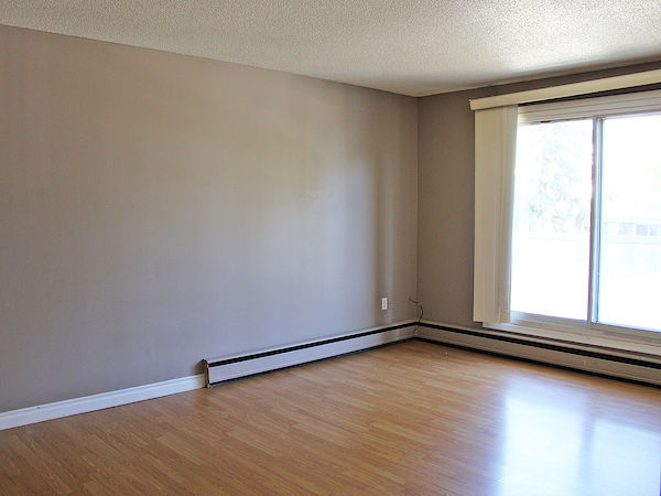 Saskatoon 1 bedroom Apartment for rent. Property photo: 294123-3
