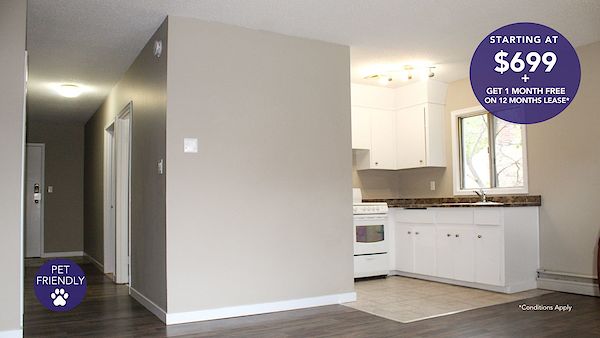 Saskatoon bachelor bedrooms Apartment for rent. Property photo: 294124-2