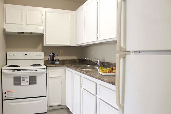 Saskatoon 1 bedrooms Apartment for rent. Property photo: 294135-3